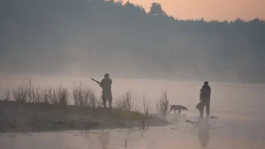 Chasseurs en bocage bourbonnais au petit matin, chasse commerciale petit gibier