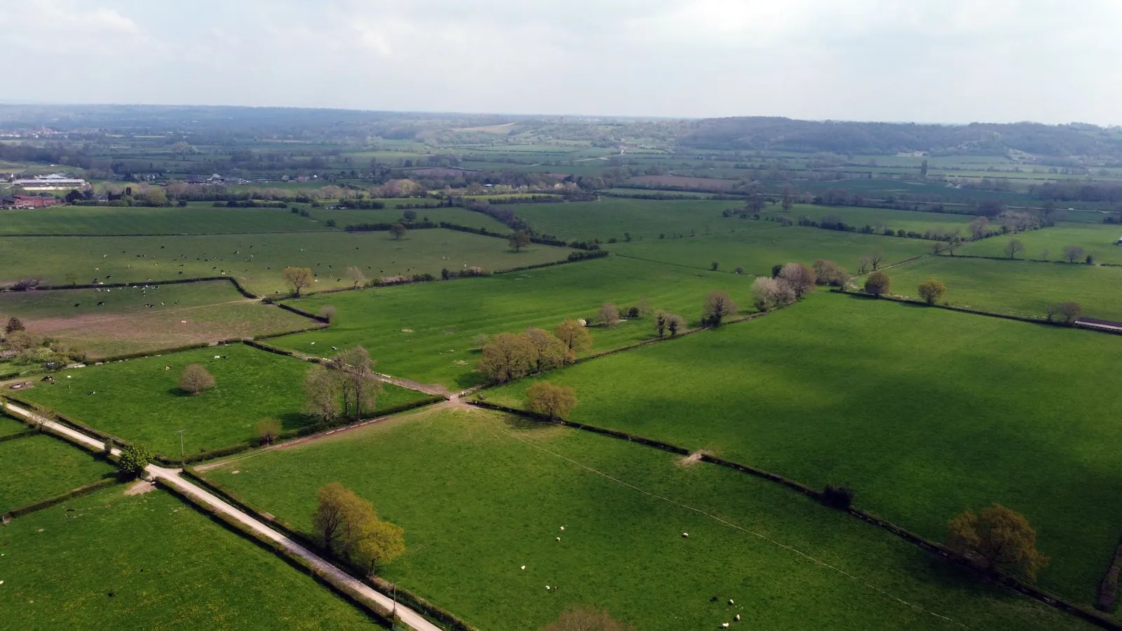 Vue aérienne du bocage bourbonnais, territoire d'un seul tenant propice à la chasse au petit gibier